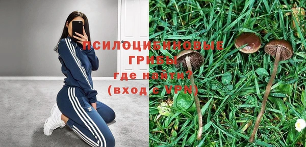 кокс Белокуриха