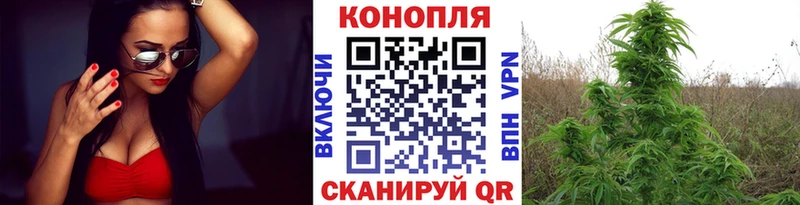 наркота  гидра сайт  Конопля ГИДРОПОН  Минеральные Воды 